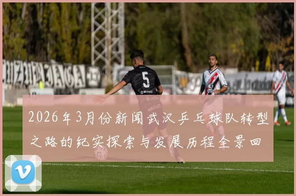 2026年3月份新闻武汉乒乓球队转型之路的纪实探索与发展历程全景回顾
